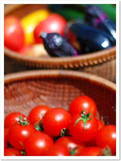 夏野菜を味わい尽くす！