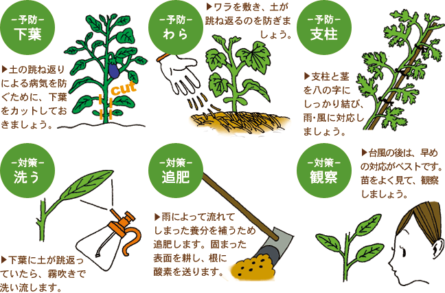雨・台風の予防と対策