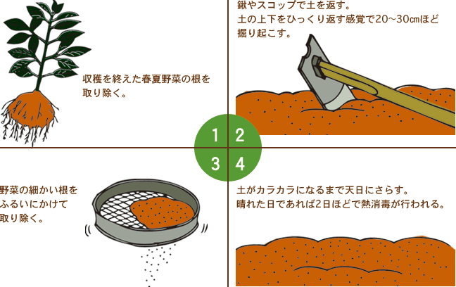 秋冬野菜の植え付けに向けて土のメンテナンスをしよう