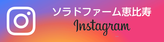 ソラドファーム恵比寿