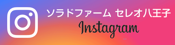 ソラドファーム セレオ八王子