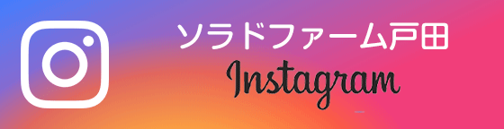 ソラドファーム戸田