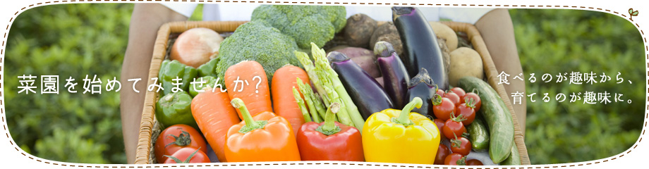 菜園を始めてみませんか?　食べるのが趣味から、育てるのが趣味に。