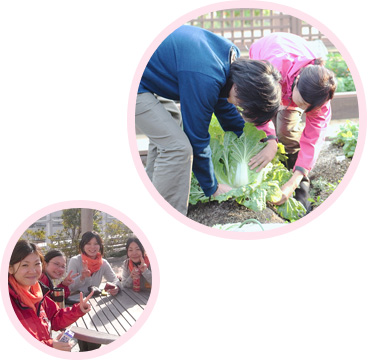 野菜づくりをサポートするスタッフについて
