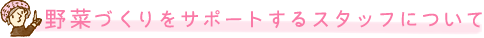 野菜づくりをサポートするスタッフについて